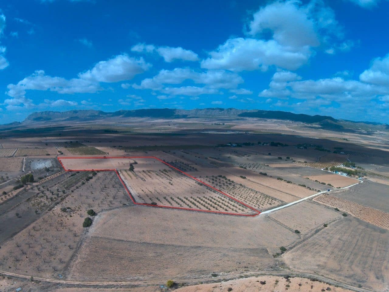 Finca/Herregård til salgs i Yecla - € 43 500 (Ref: 8863587)