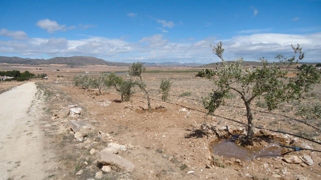 Finca/Herregård til salgs i Yecla - € 12 000 (Ref: 8863589)