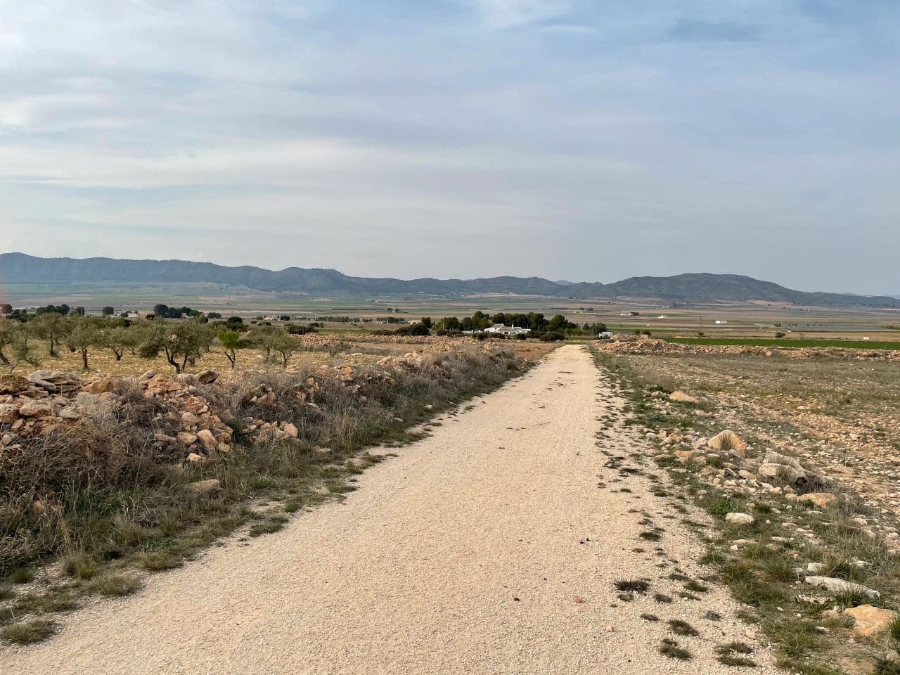 Finca/Country House for sale in Yecla - € 12,000 (Ref: 8863589)