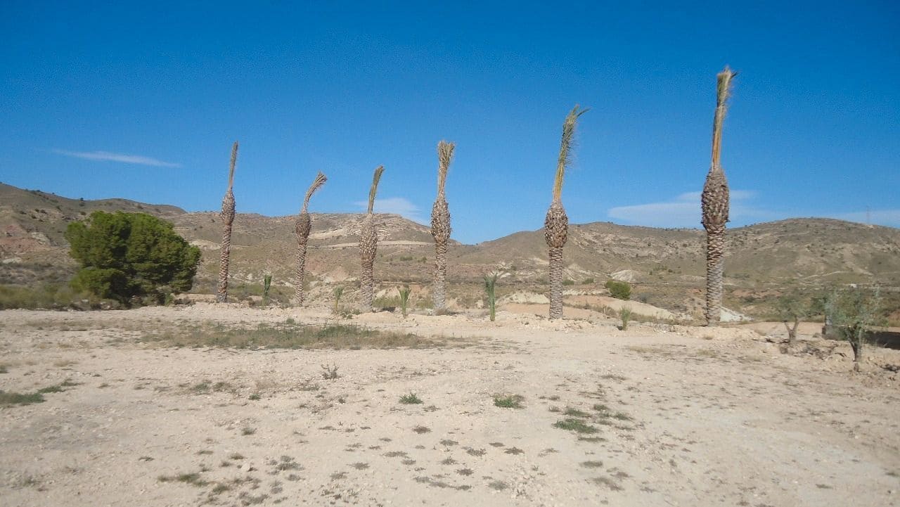 Finca/Landehus til salg i Mahoya - € 39.900 (Ref: 8863591)