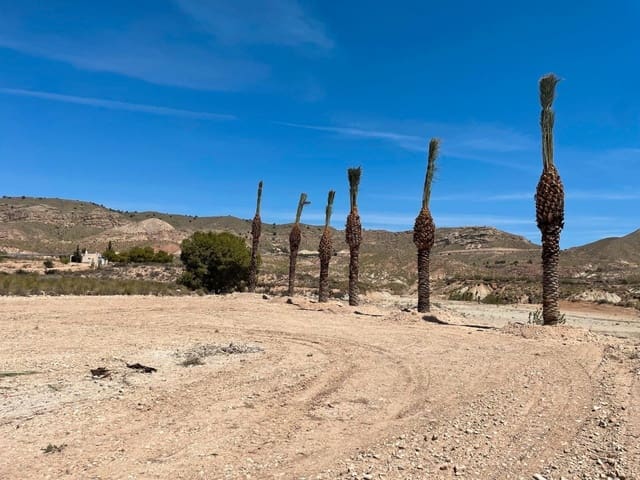 Finca/Landehus til salg i Mahoya, Abanilla - € 39.900 (Ref: 8863591)