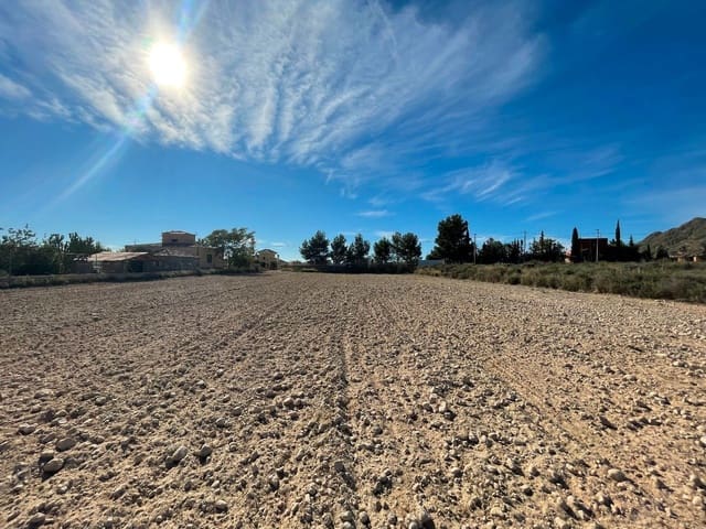 Finca/Landehus til salg i Mahoya, Abanilla - € 39.900 (Ref: 8863591)