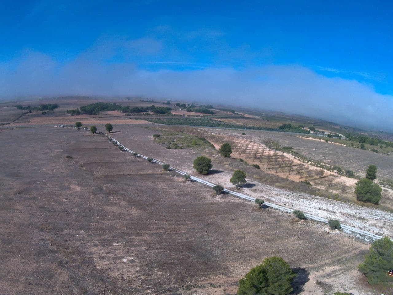 Finca/Country House for sale in Yecla - € 620,000 (Ref: 8863592)