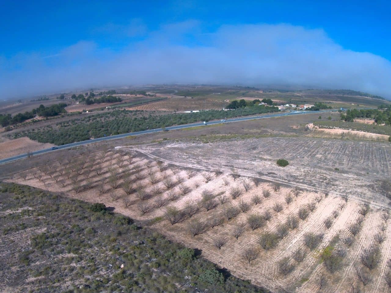 Finca/Country House for sale in Yecla - € 620,000 (Ref: 8863592)