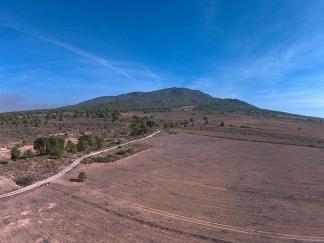 Finca/Herregård til salgs i Yecla - € 620 000 (Ref: 8863592)