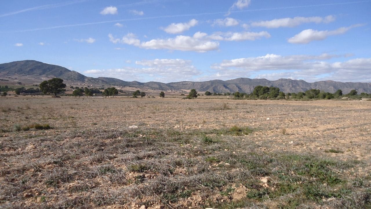 Finca/Country House for sale in Yecla - € 620,000 (Ref: 8863592)