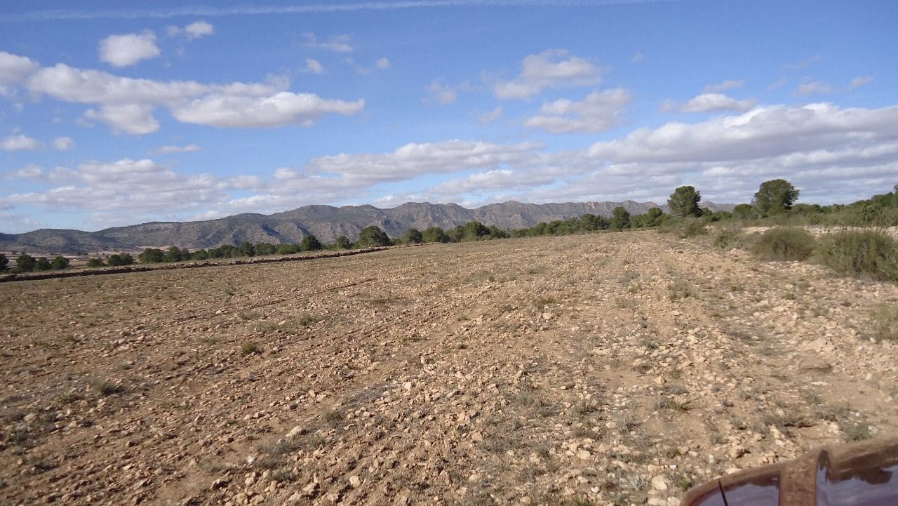 Finca/Country House for sale in Yecla - € 620,000 (Ref: 8863592)