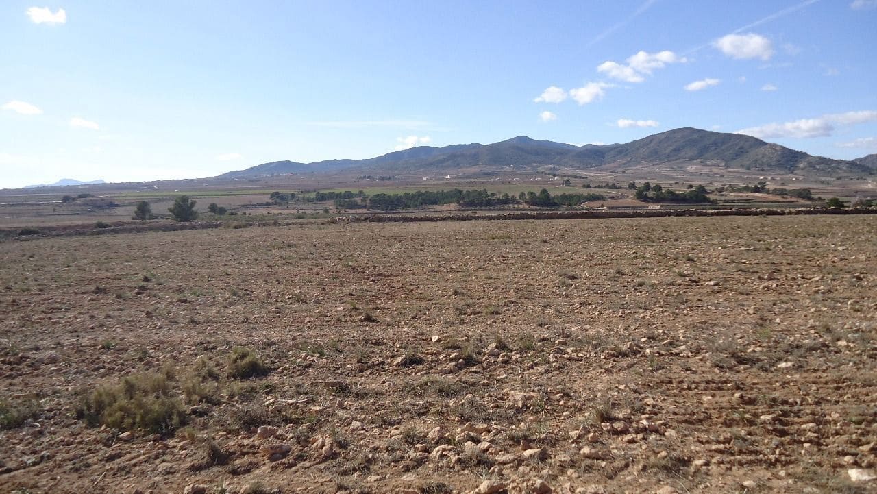 Finca/Country House for sale in Yecla - € 620,000 (Ref: 8863592)