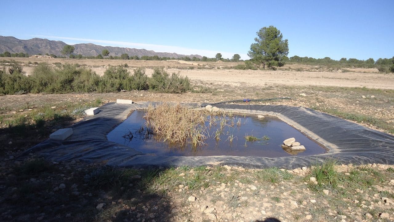 Finca/Country House for sale in Yecla - € 620,000 (Ref: 8863592)