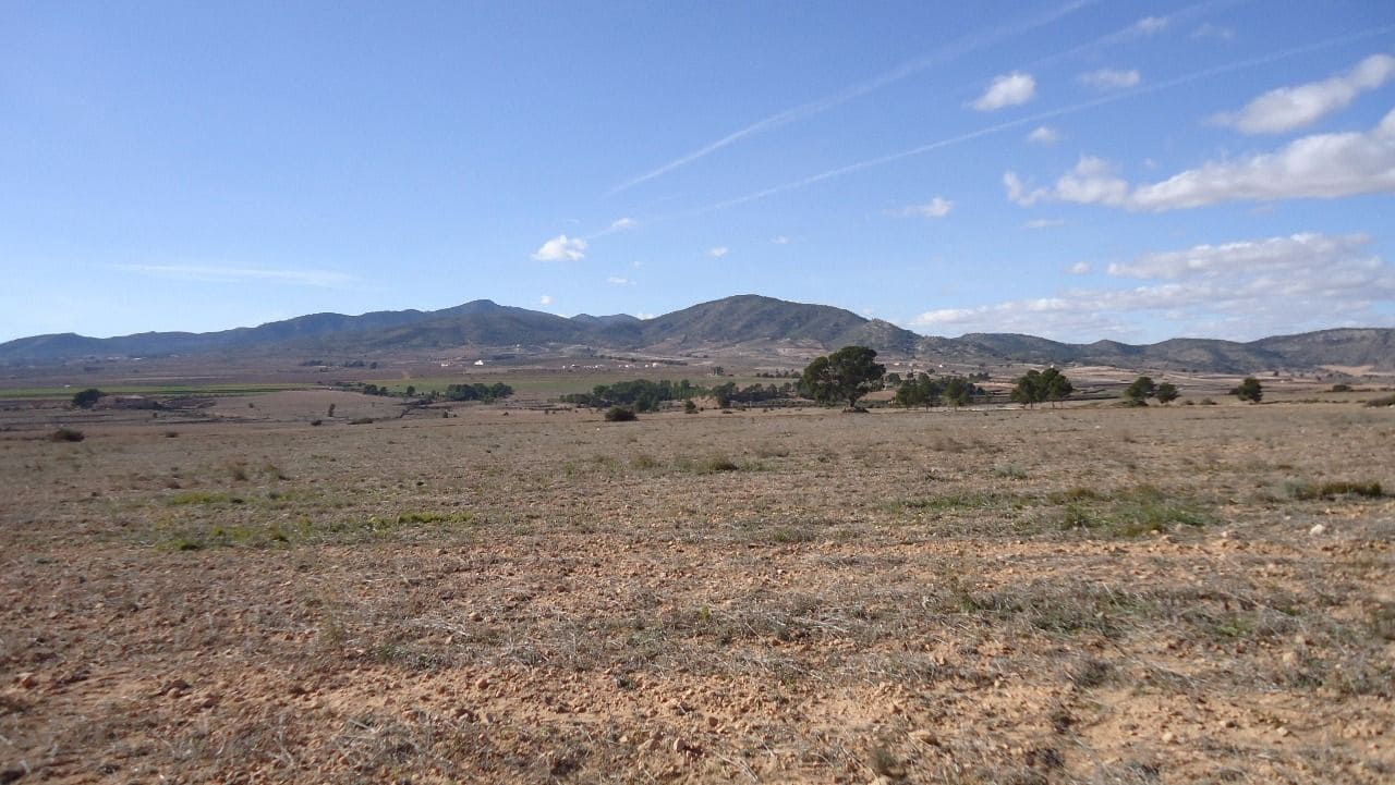 Finca/Country House for sale in Yecla - € 620,000 (Ref: 8863592)