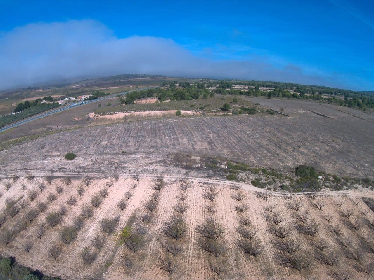 Finca/Country House for sale in Yecla - € 620,000 (Ref: 8863592)