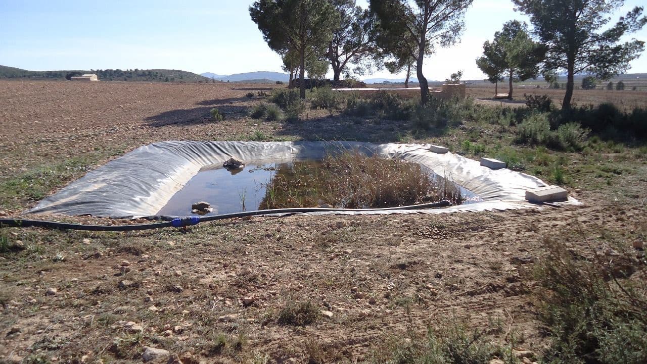 Finca/Country House for sale in Yecla - € 620,000 (Ref: 8863592)