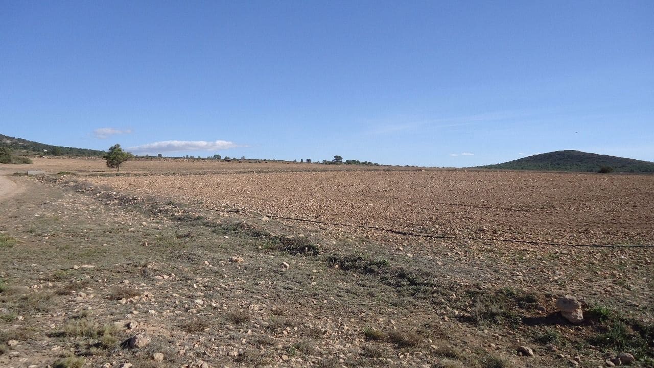 Finca/Country House for sale in Yecla - € 620,000 (Ref: 8863592)