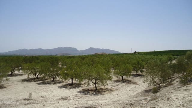 Finca/Maison de Campagne à vendre à Abanilla - 179 000 € (Ref: 8863595)