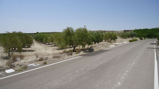 Finca/Maison de Campagne à vendre à Abanilla - 179 000 € (Ref: 8863595)