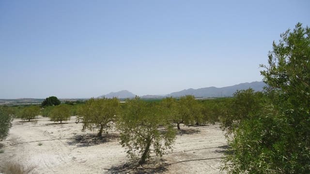 Finca/Maison de Campagne à vendre à Abanilla - 179 000 € (Ref: 8863595)