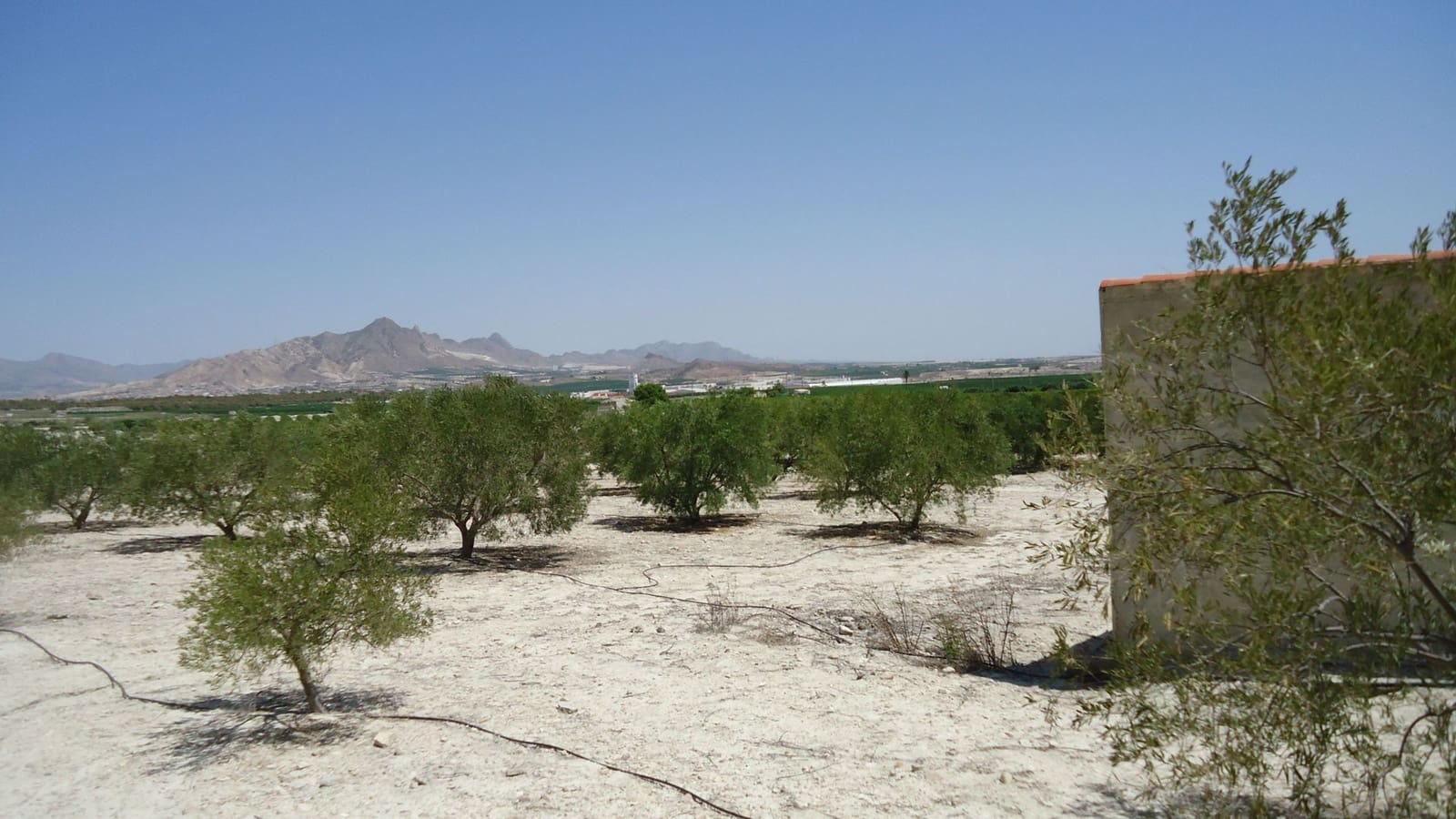 Finca/Herregård til salgs i Abanilla - € 179 000 (Ref: 8863595)