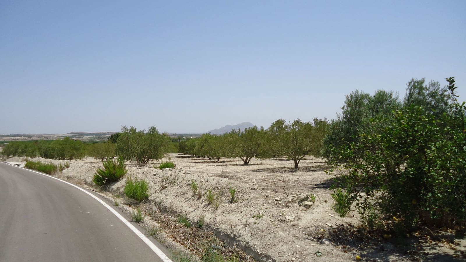 Finca/Herregård til salgs i Abanilla - € 179 000 (Ref: 8863595)