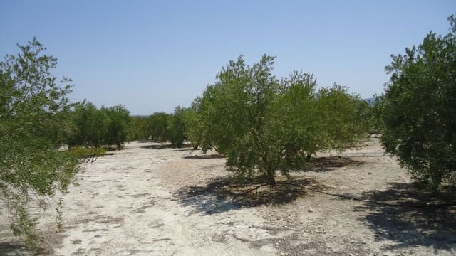 Finca/Maison de Campagne à vendre à Abanilla - 179 000 € (Ref: 8863595)