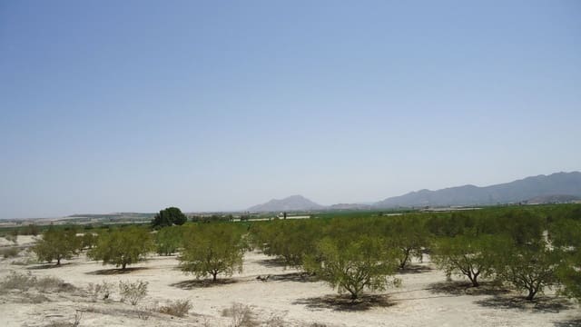 Finca/Maison de Campagne à vendre à Abanilla - 179 000 € (Ref: 8863595)