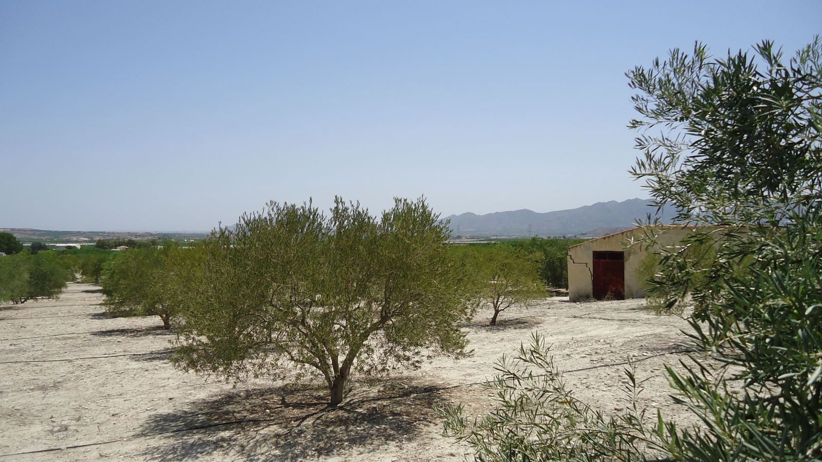 Finca/Herregård til salgs i Abanilla - € 179 000 (Ref: 8863595)