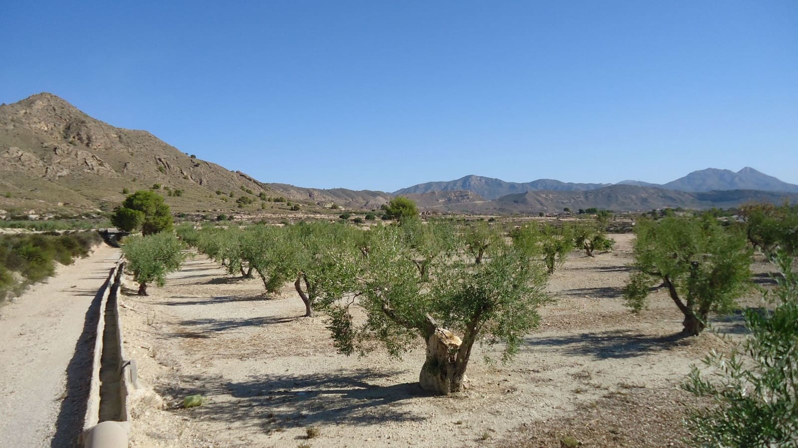 Finca/Maison de Campagne à vendre à Abanilla - 75 000 € (Ref: 8863596)