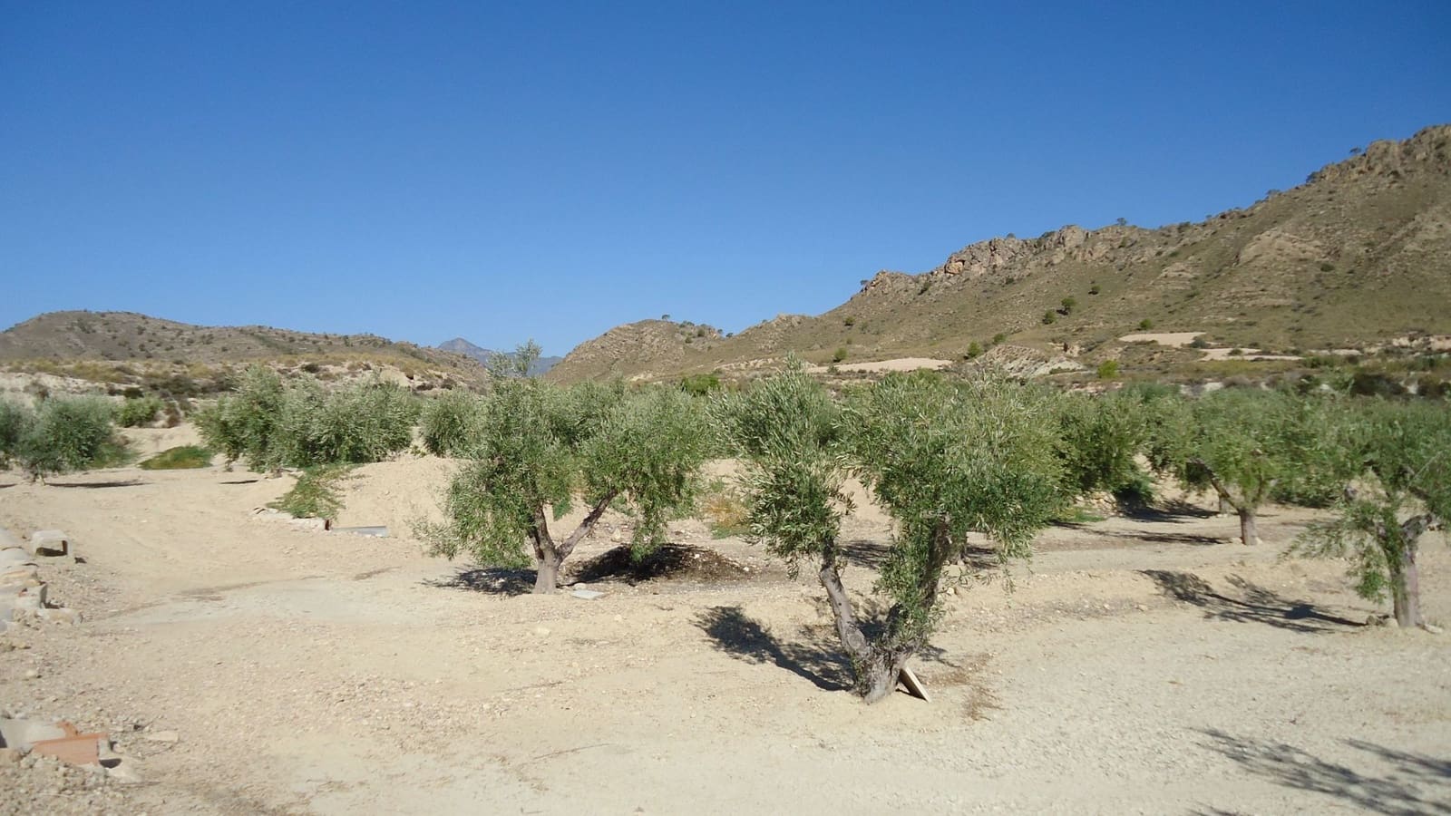 Finca/Maison de Campagne à vendre à Abanilla - 75 000 € (Ref: 8863596)