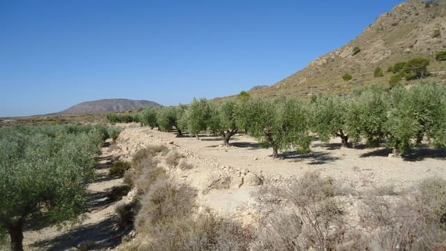 Finca/Maison de Campagne à vendre à Abanilla - 75 000 € (Ref: 8863596)