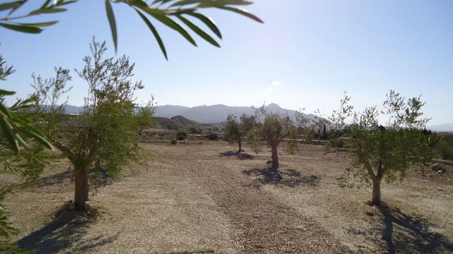 Finca/Maison de Campagne à vendre à Abanilla - 75 000 € (Ref: 8863596)