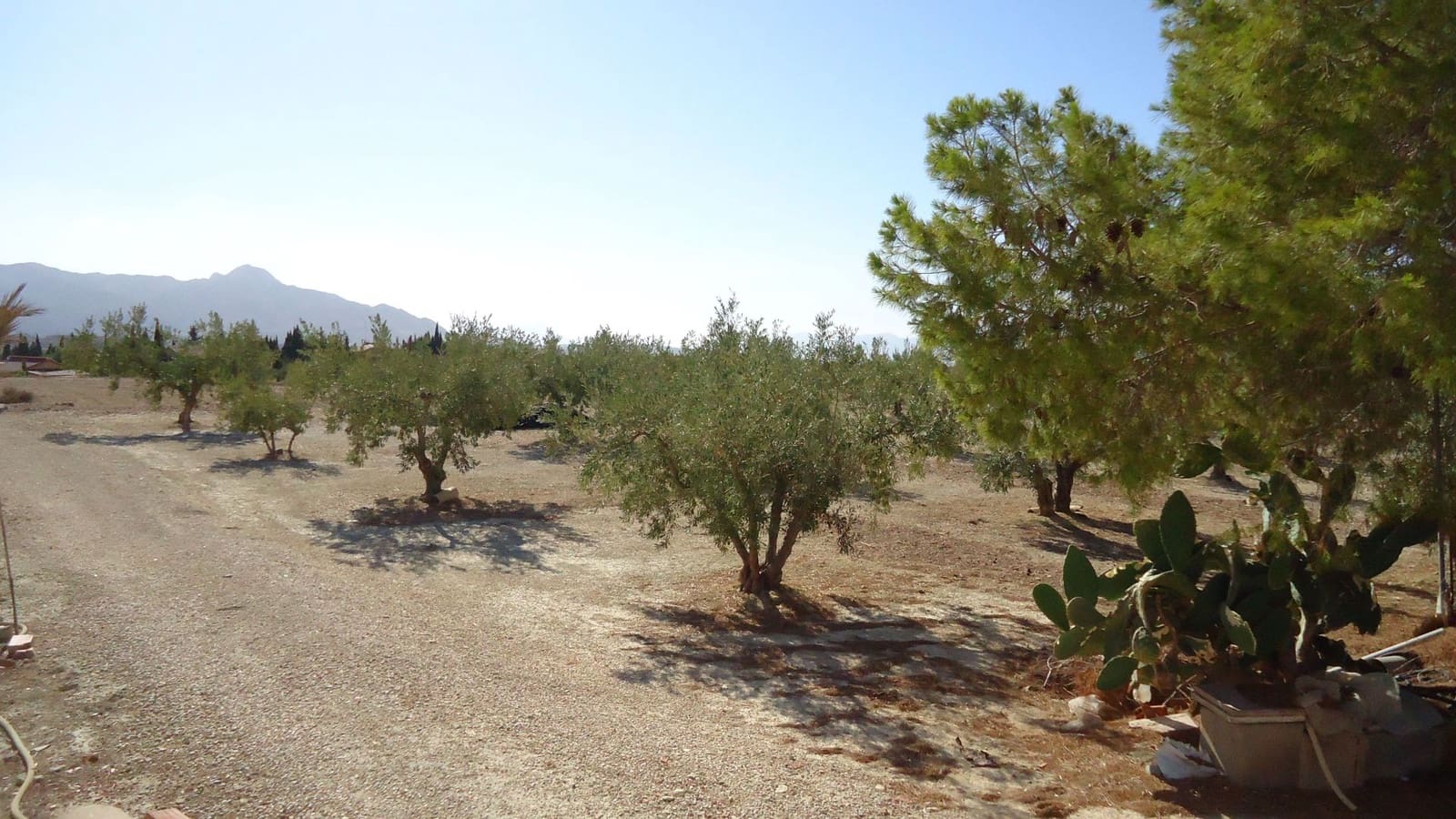 Finca/Maison de Campagne à vendre à Abanilla - 75 000 € (Ref: 8863596)