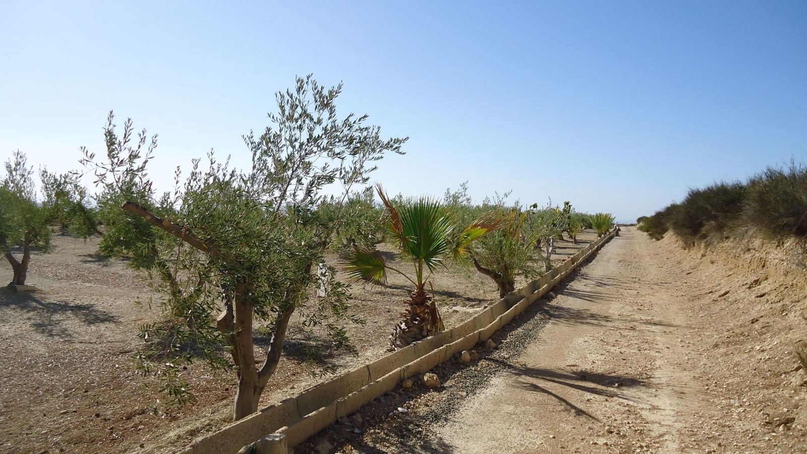 Finca/Maison de Campagne à vendre à Abanilla - 75 000 € (Ref: 8863596)