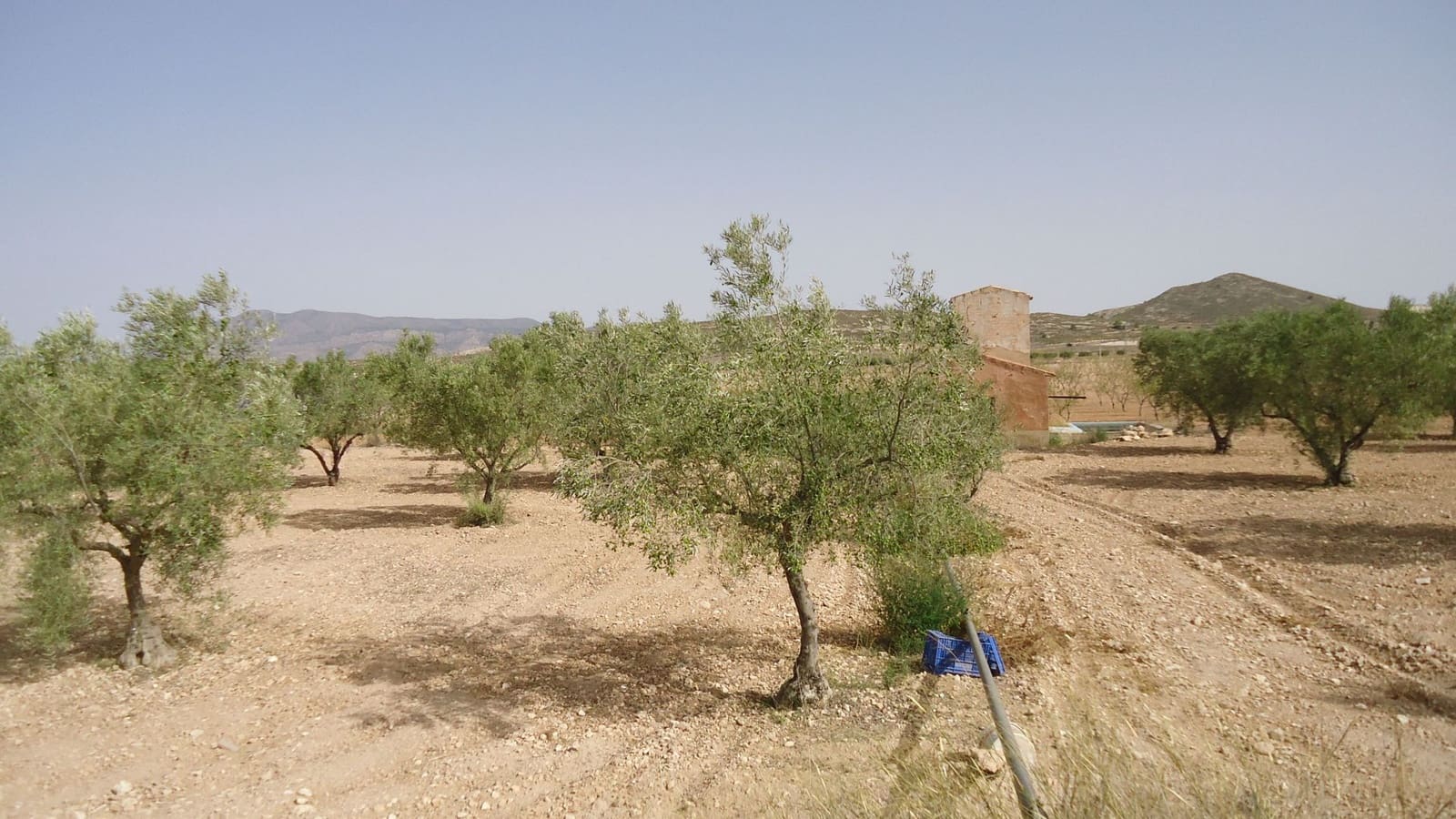Finca/Casa di Campagna in vendita in Jumilla - 132.900 € (Rif: 8863597)