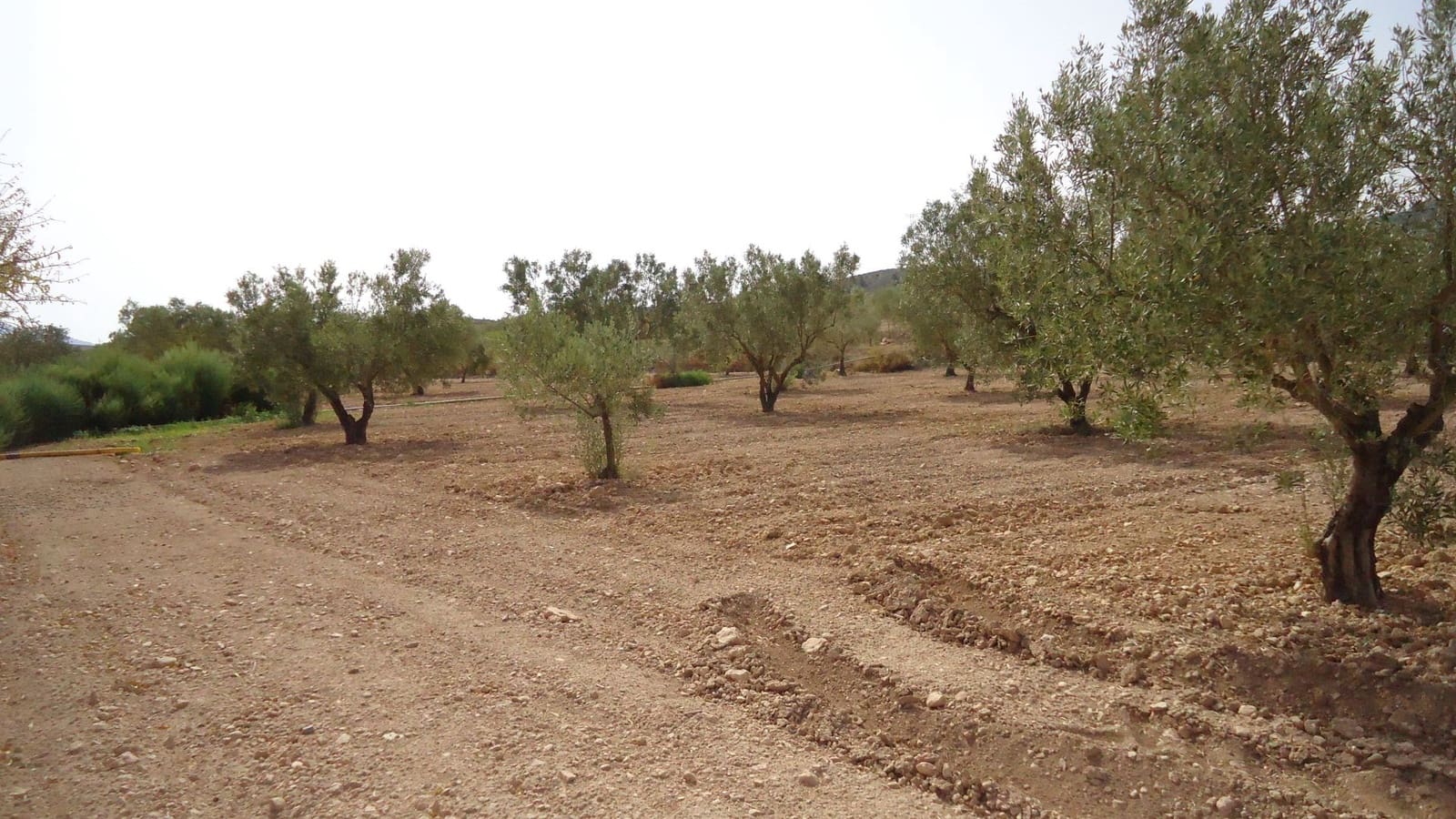 Finca/Casa di Campagna in vendita in Jumilla - 132.900 € (Rif: 8863597)