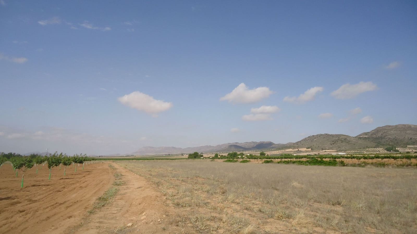 Finca/Country House for sale in Yecla - € 7,000 (Ref: 8863598)