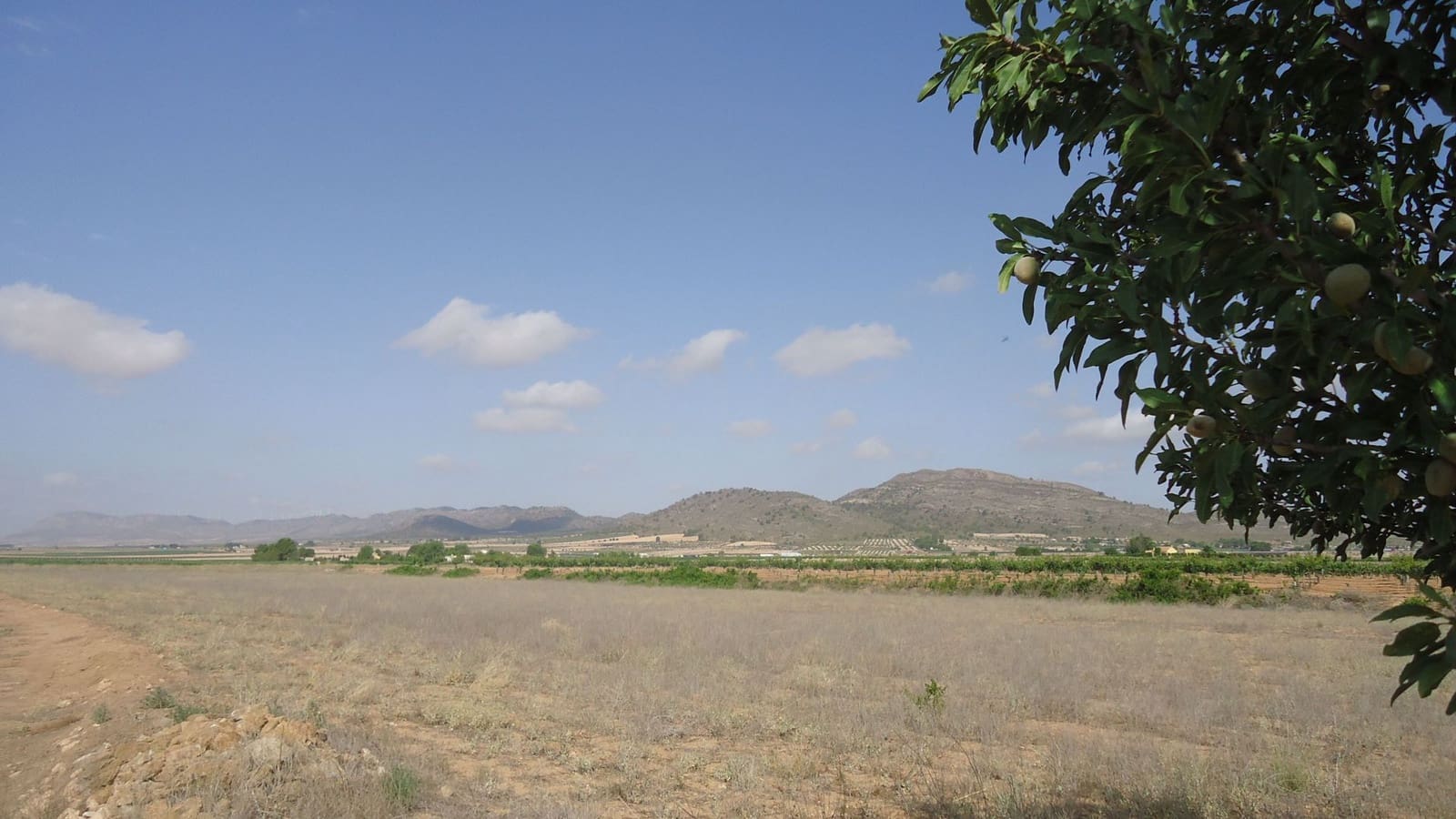 Finca/Country House for sale in Yecla - € 7,000 (Ref: 8863598)