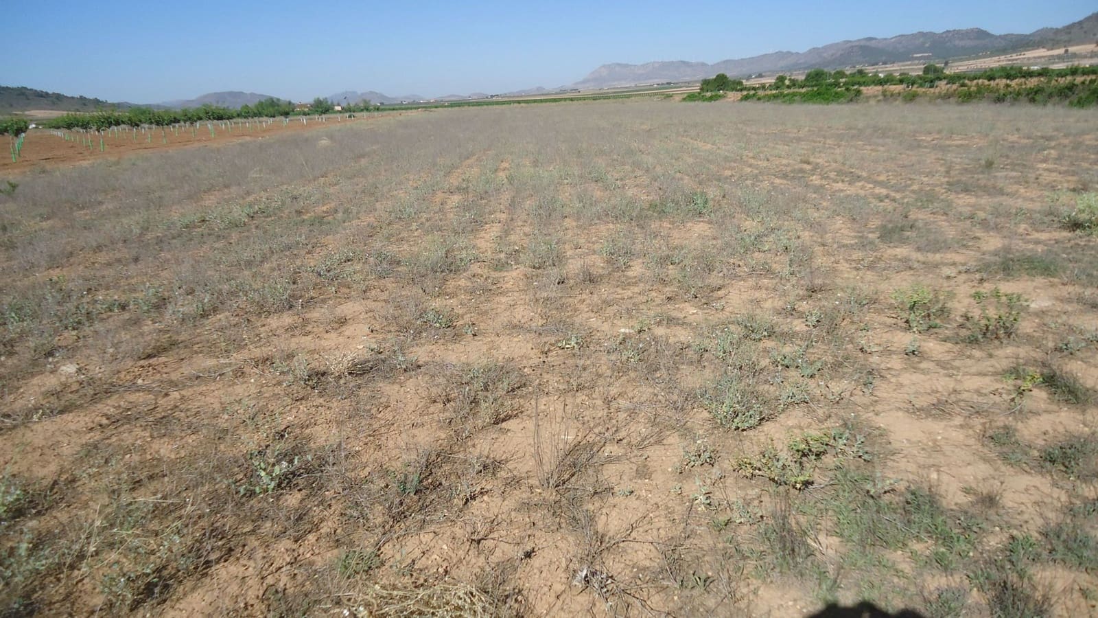 Finca/Country House for sale in Yecla - € 7,000 (Ref: 8863598)