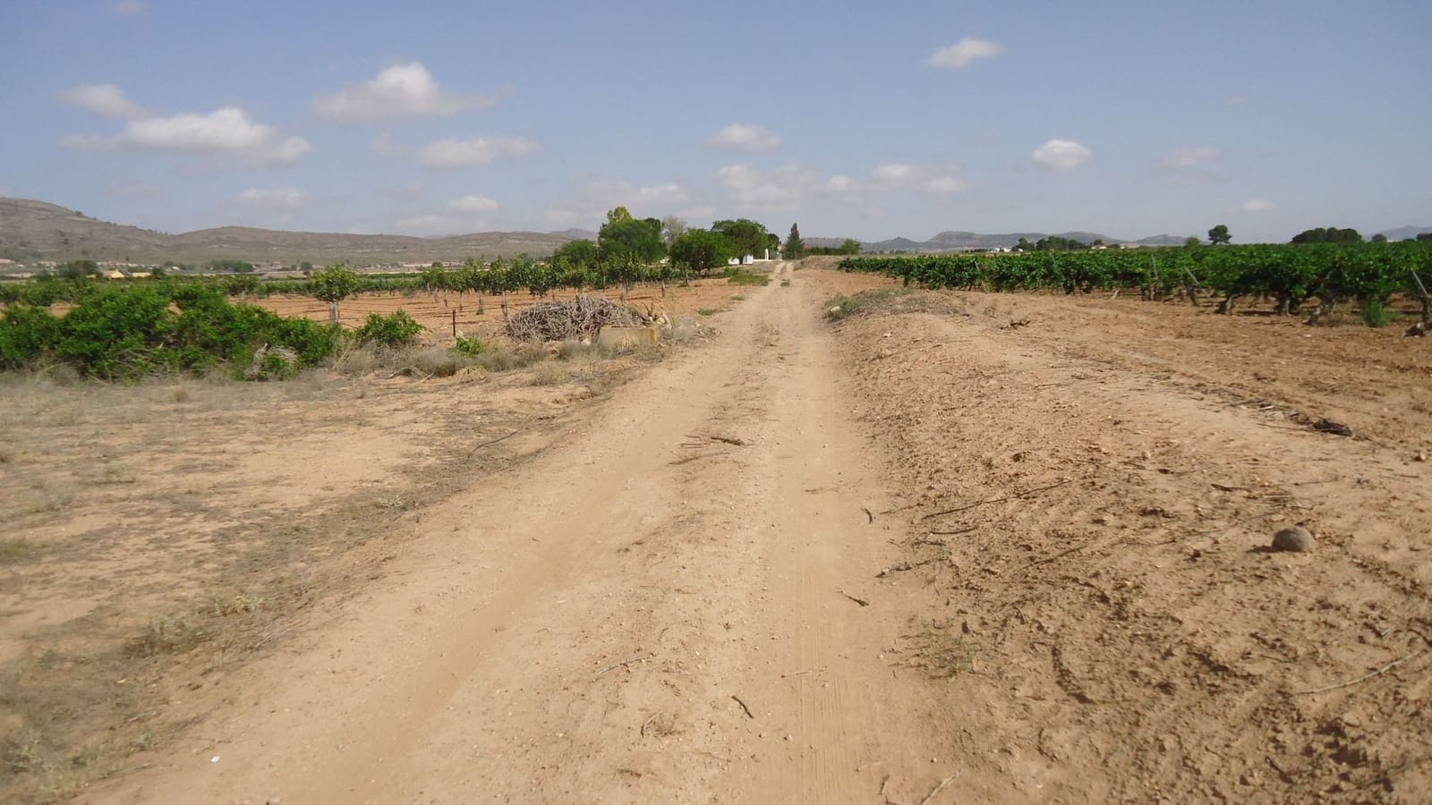 Finca/Country House for sale in Yecla - € 7,000 (Ref: 8863598)