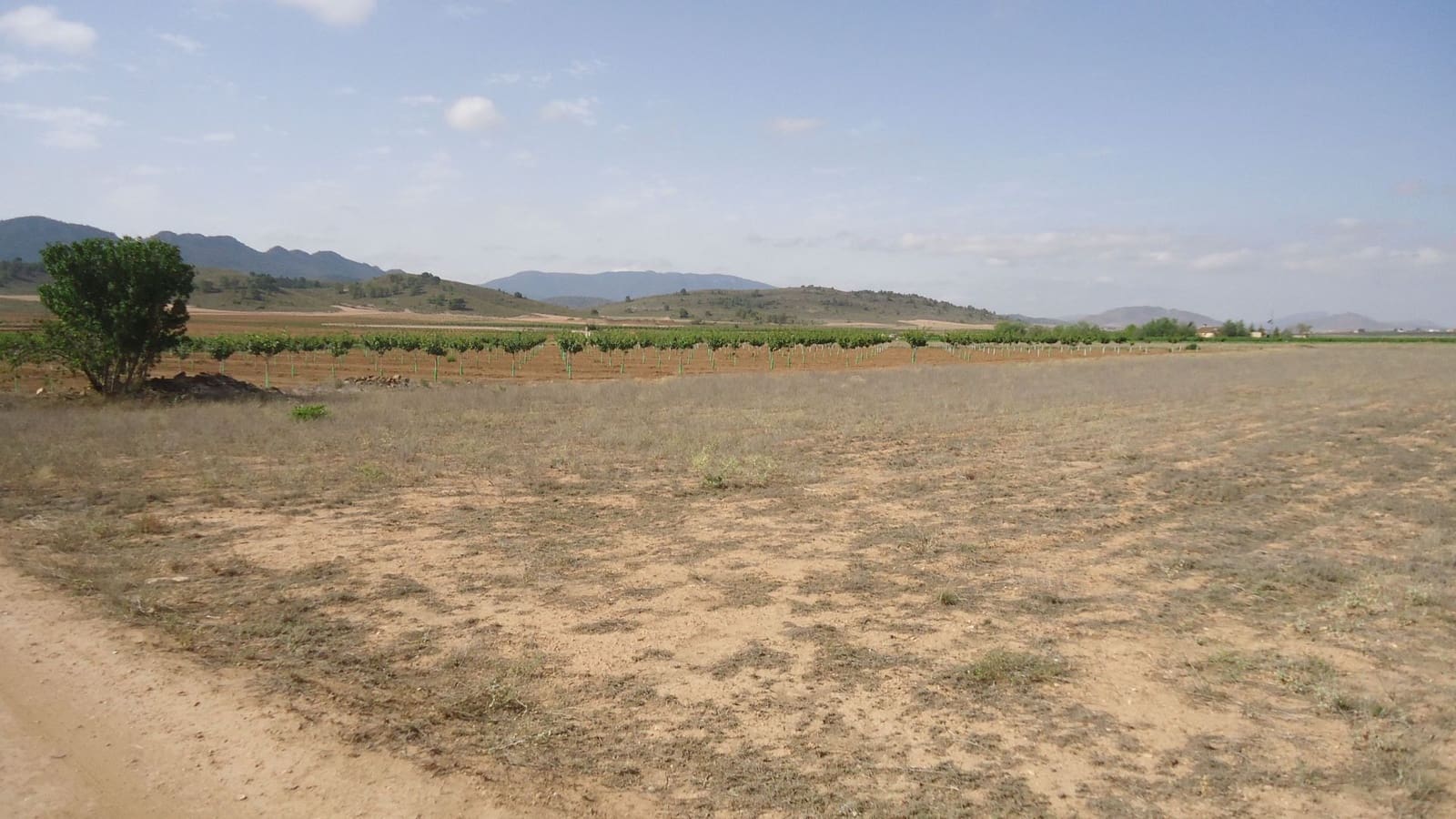 Finca/Country House for sale in Yecla - € 7,000 (Ref: 8863598)