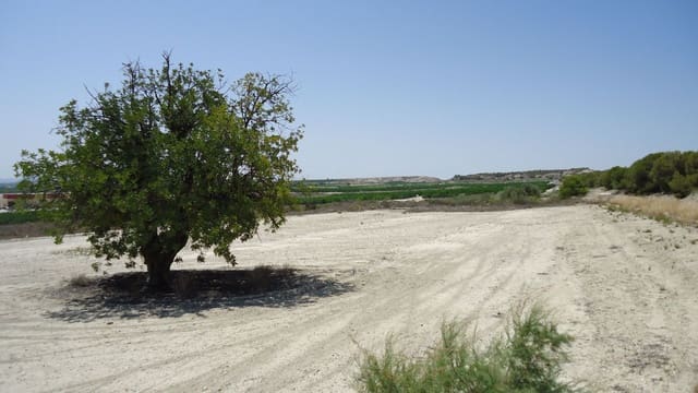 Finca/Maison de Campagne à vendre à Abanilla - 59 500 € (Ref: 8863599)