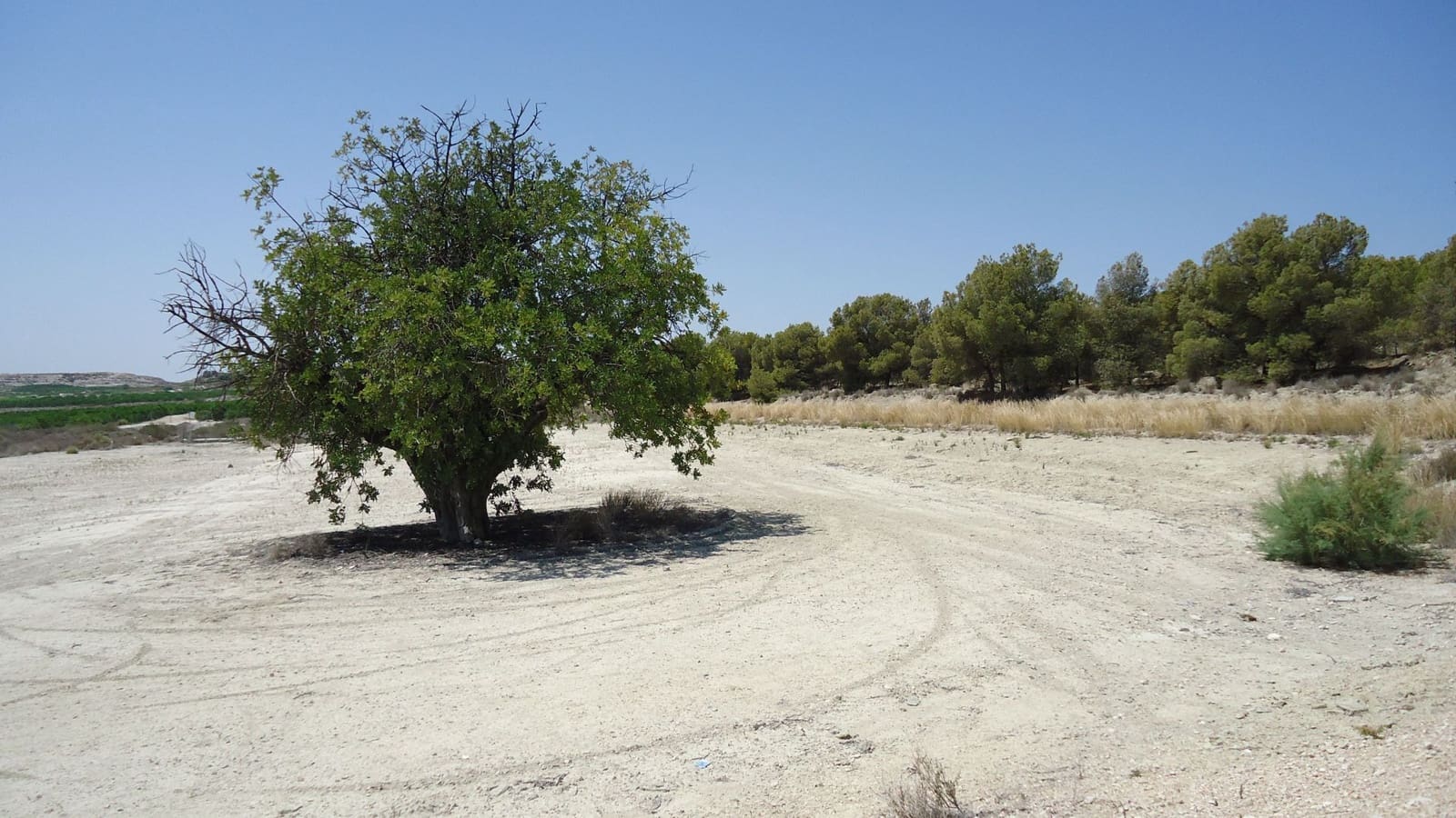 Finca/Herregård til salgs i Abanilla - € 59 500 (Ref: 8863599)