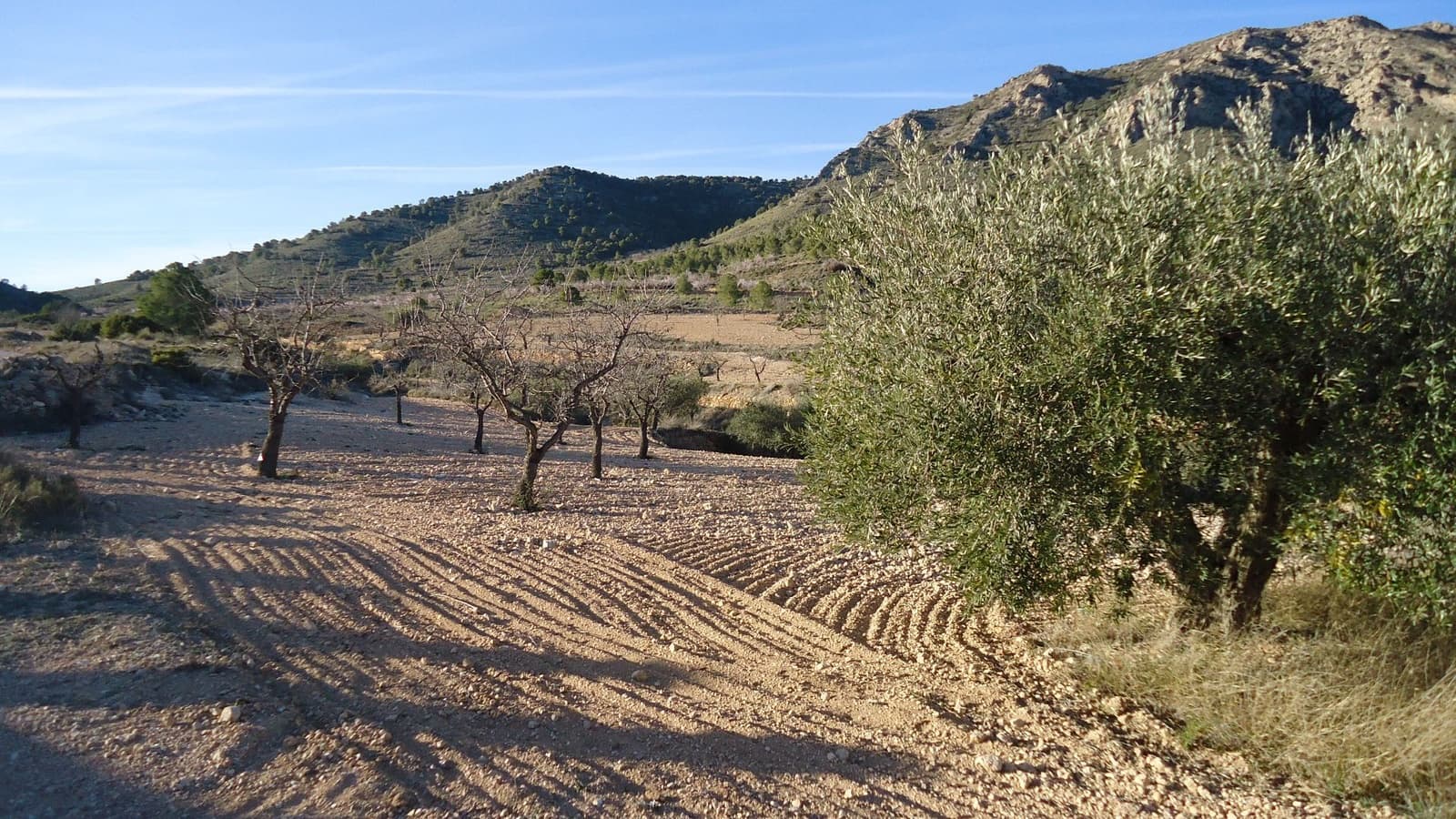 Finca/Landgut zu verkaufen in La Romana - 25.900 € (Ref: 8863600)