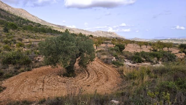 Finca/Landgut zu verkaufen in La Romana - 25.900 € (Ref: 8863600)