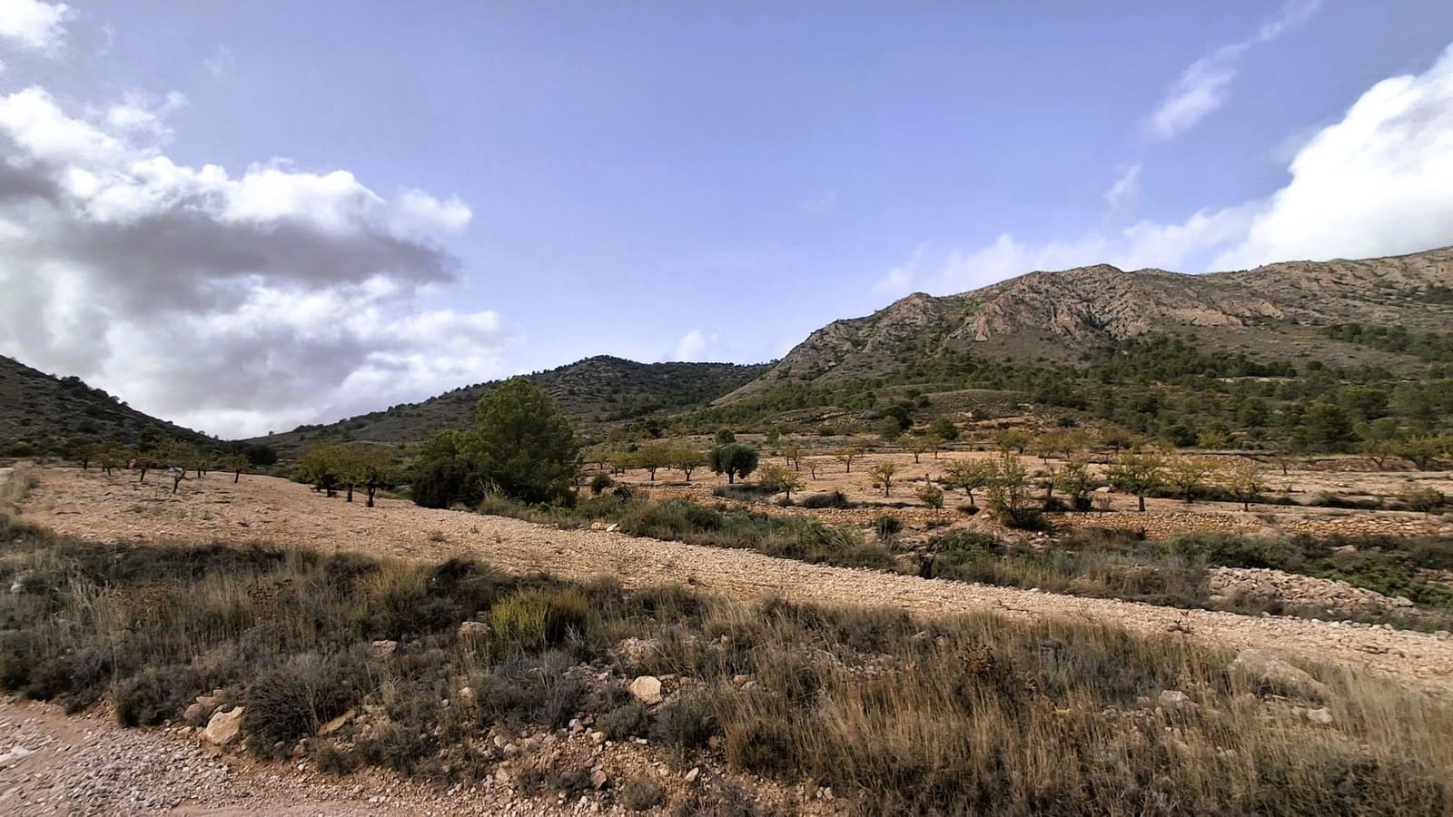 Finca/Landgut zu verkaufen in La Romana - 25.900 € (Ref: 8863600)