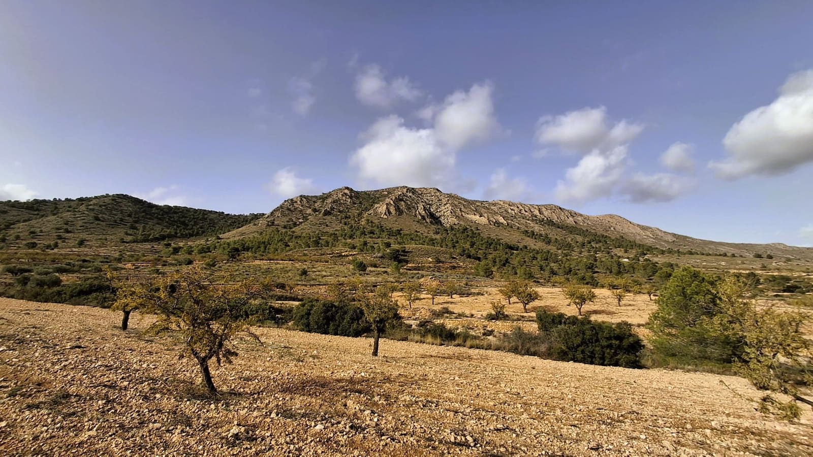 Finca/Landgut zu verkaufen in La Romana - 25.900 € (Ref: 8863600)