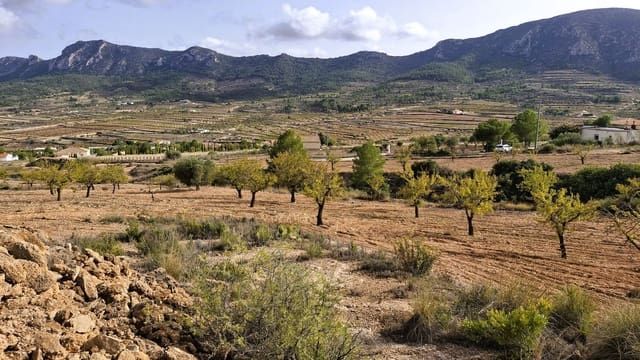 Finca/Landgut zu verkaufen in La Romana - 25.900 € (Ref: 8863600)