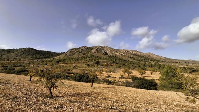 Finca/Landgut zu verkaufen in La Romana - 25.900 € (Ref: 8863600)