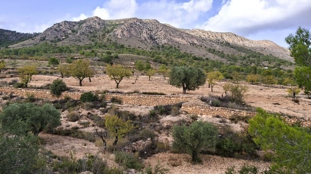 Finca/Landgut zu verkaufen in La Romana - 25.900 € (Ref: 8863600)