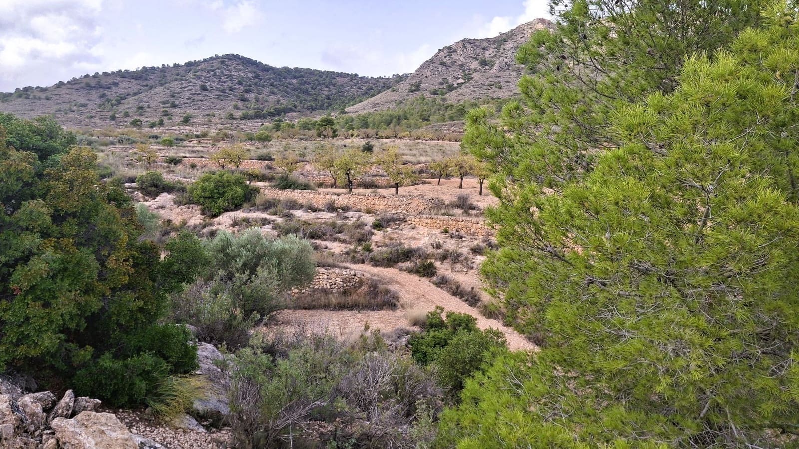 Finca/Landgut zu verkaufen in La Romana - 25.900 € (Ref: 8863600)