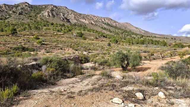 Finca/Landgut zu verkaufen in La Romana - 25.900 € (Ref: 8863600)