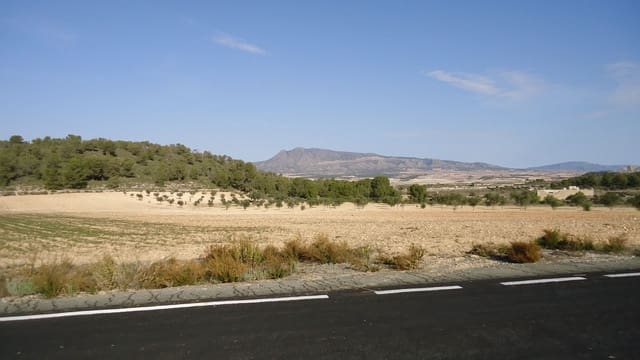 Finca/Landehus til salg i La Zarza, Jumilla - € 24.900 (Ref: 8863601)